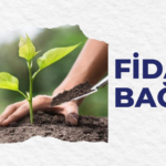 Fidan Bağışı